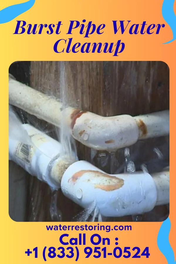 Burst Pipe Water Cleanup in Hopelawn, NJ
