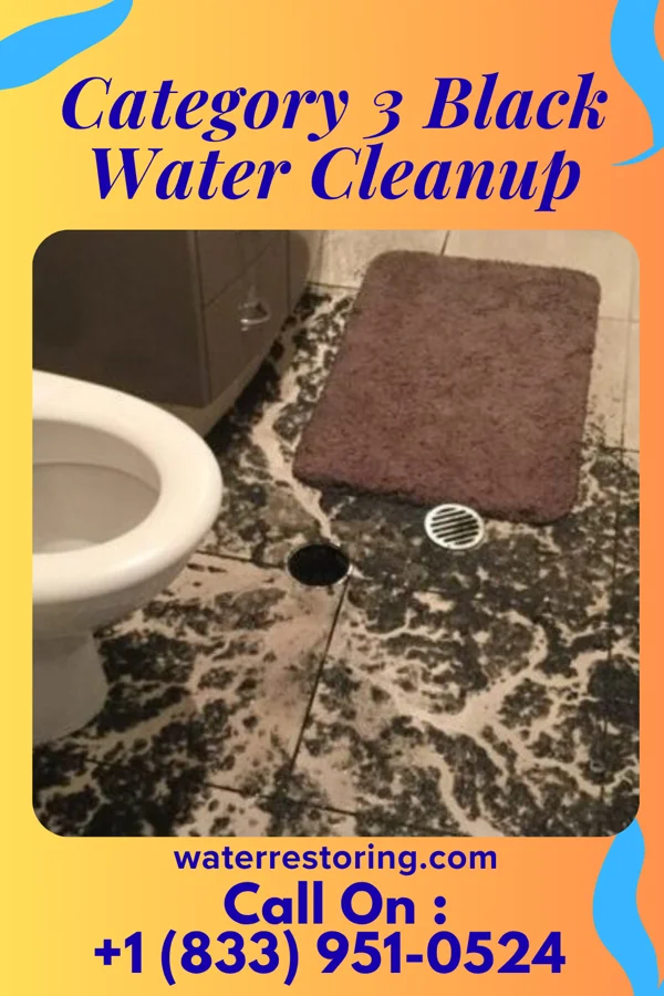 Category 3 Black Water Cleanup in Hopelawn, NJ
