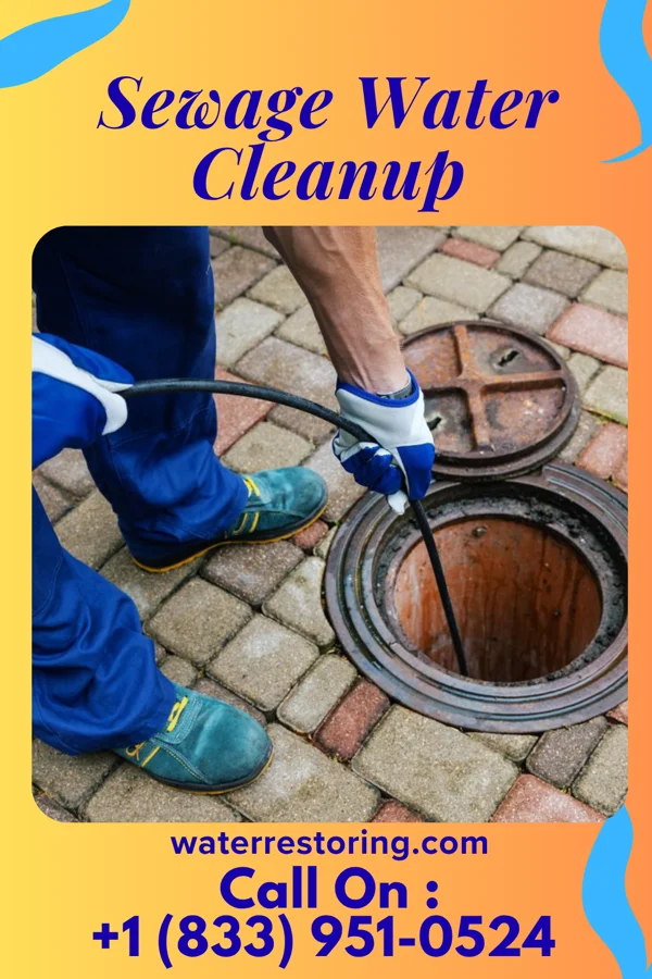 Sewage Water Cleanup in Hopelawn, NJ