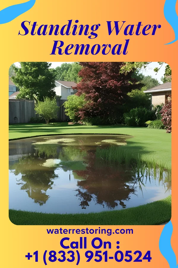 Standing Water Removal in Hopelawn, NJ